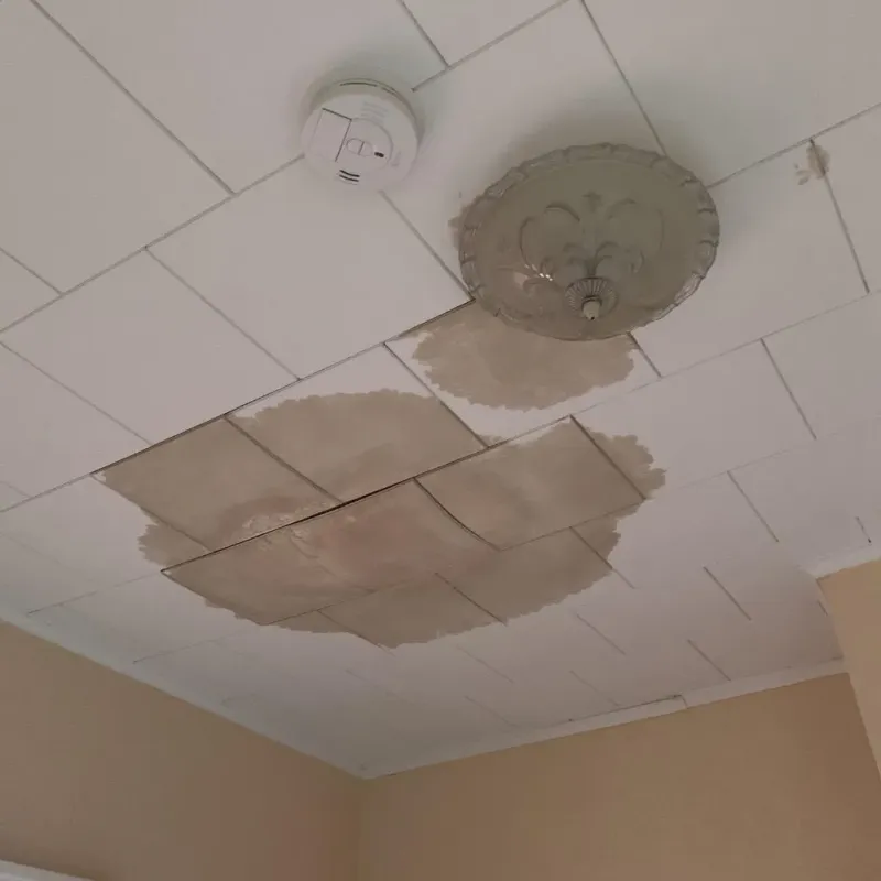 Ceiling Water Damage Repair in Pennington County, MN