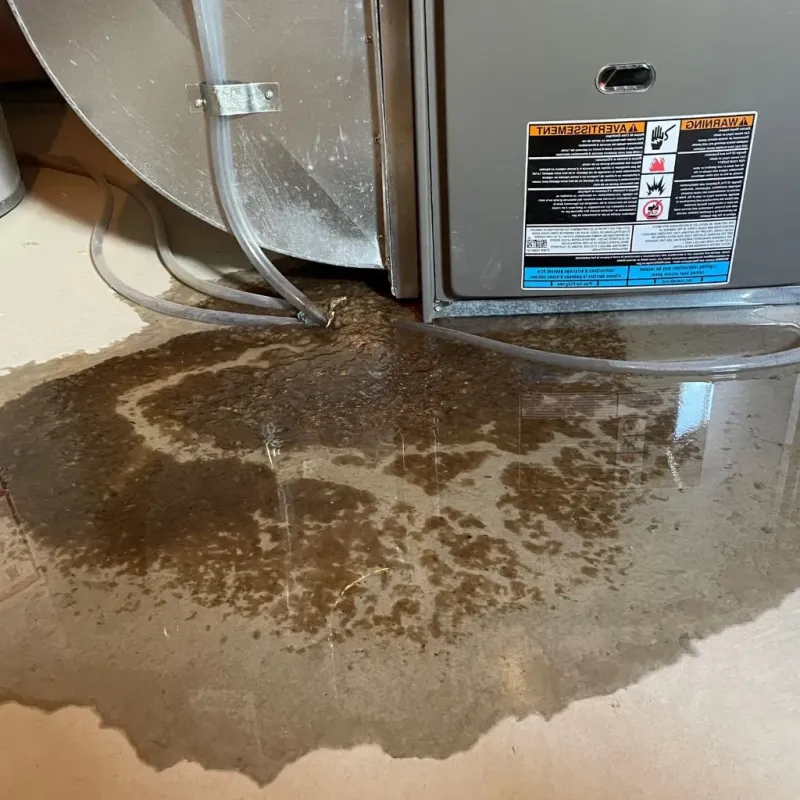 Pipe Burst and Leak Restoration in Pennington County, MN